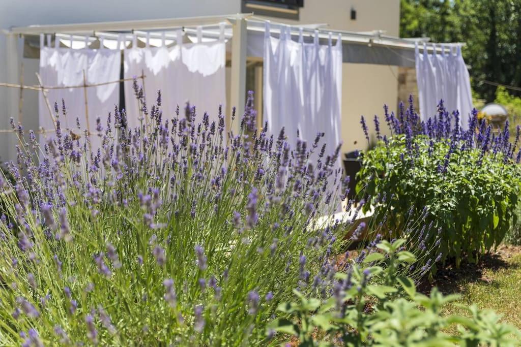 Luxury Villa Cetiri Hrasta Pićan Eksteriør bilde